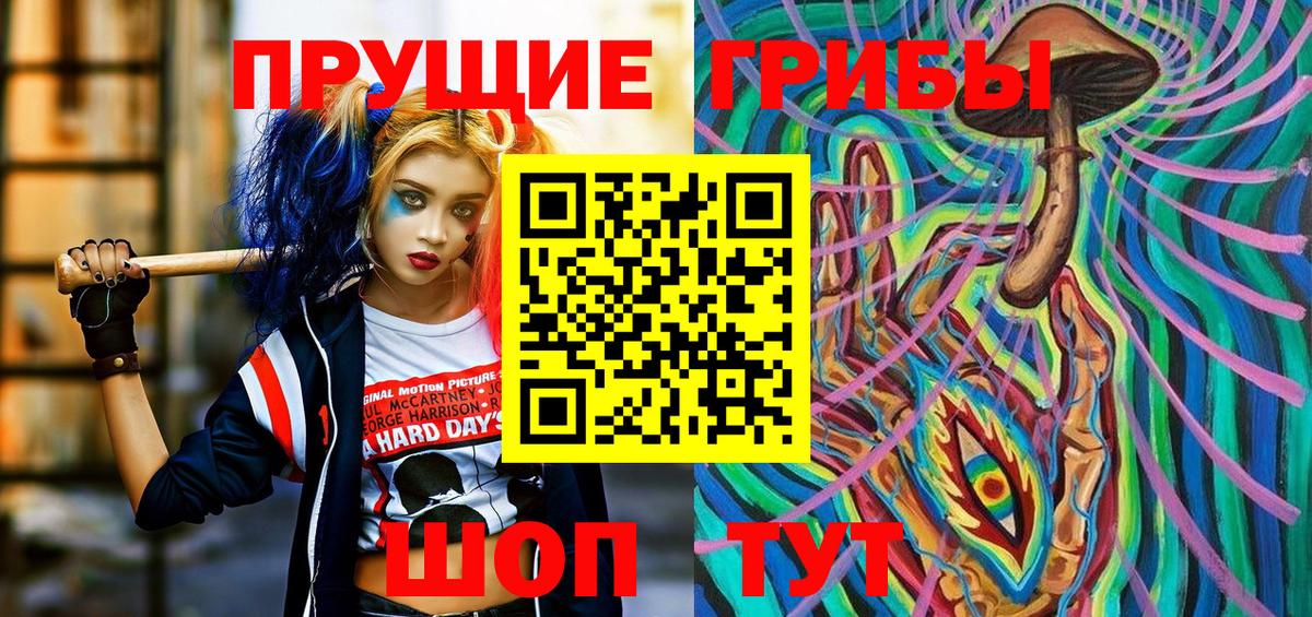Псилоцибиновые грибы Psilocybine cubensis  Вход с VPN  Горячий Ключ  Галлюциногенные грибы мицелий 